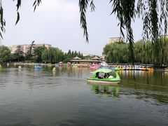 -团结湖公园