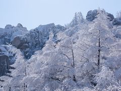 -崂山巨峰游览区