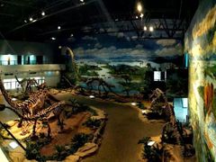 -自贡恐龙博物馆