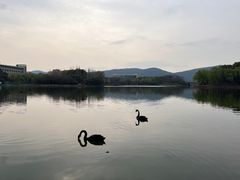 -江南大学(蠡湖校区)