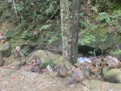 -姑婆山旅游区