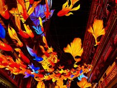 -豫园