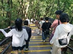 -汤旺河林海奇石景区