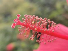 -陕西省西安植物园