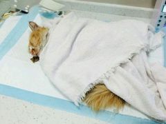 android_upload_pic-盛京一禾