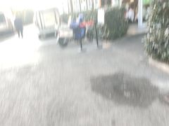 -湖锦酒楼·旗舰店(三阳总店)