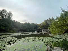 -杭州植物园