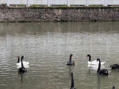 -黔灵山公园-南门售票处