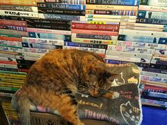 -猫的天空之城概念书店(杭州南宋御街店)