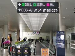 -广州白云国际机场-T2航站楼