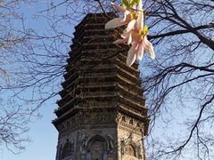-玲珑塔公园