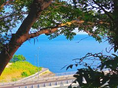 -星海湾跨海大桥