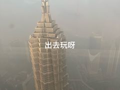 -上海柏悦酒店