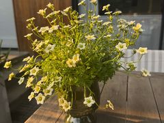 -月芽·自由餐厅·西溪湿地餐厅