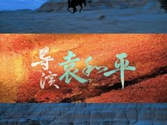 -万达广场(马鞍山太白路店)