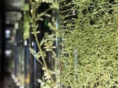 -广东中医药博物馆