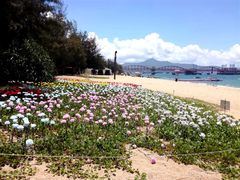 -玫瑰海岸文化旅游度假区