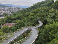 -福道