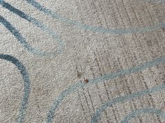 -舟山希尔顿酒店