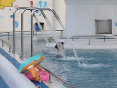 -世界恐龙谷景区