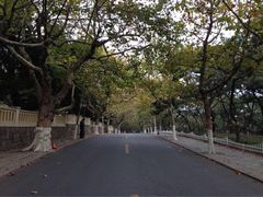 八大关景区-八大关景区
