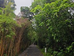 -华侨城湿地公园