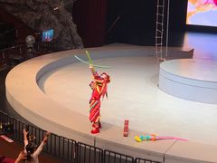-重庆国际马戏城