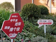 -上海第一八佰伴