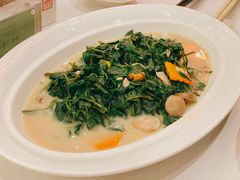 枸杞叶-香乐园·淮扬菜中餐厅·Shang Garden(福田香格里拉店)