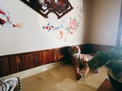 -果松木炭酸菜铜火锅·外婆参鸡汤