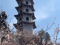 -圣莲山风景区