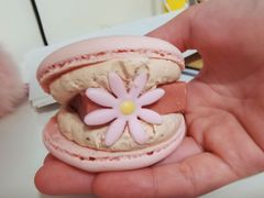 -好利来(四季青店)