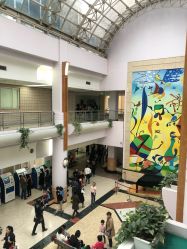 -上海交通大学医学院附属上海儿童医学中心(陆家嘴总院区)