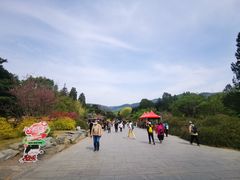 -国家植物园南园