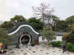 -广州神农草堂中医药博物馆