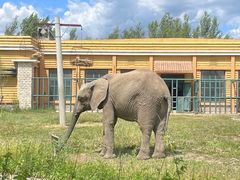 -哈尔滨北方森林动物园