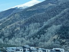 -五台山风景区
