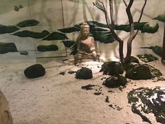 -淀里船宴(裕华东路店)