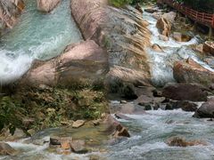 -广州白江湖森林公园