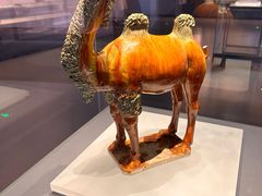 -贵州省博物馆(新馆)
