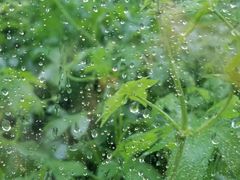 -北马山庄植趣咖啡