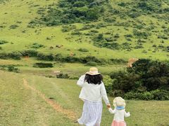-大姆山草场