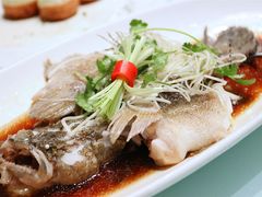 -骏莱海鲜鱼港(五角场店)