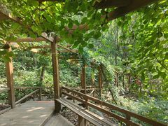 -大岭沟猕猴桃谷风景区