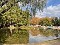 -上海共青森林公园