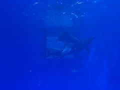 -多彩贵州城极地海洋世界