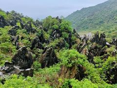 -玉石林风景区