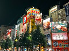 -秋叶原电器街