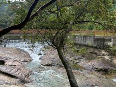 -广州白江湖森林公园