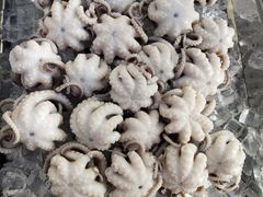 -铭聚章鱼土笋冻(松柏店)